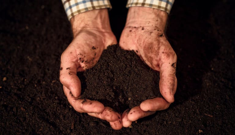 How To Heat Up Compost? 9 Quick And Easy Methods | Yuzu Magazine