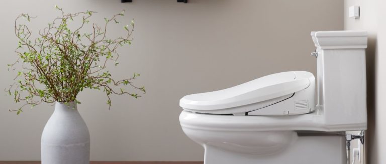 Mars Beregning relæ Kohler Bidet Toilet Seat Review: The 6 Best Options For Every Budget | Yuzu  Magazine