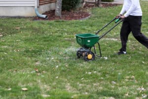 Man uses a broadcast spreader to spread lime on his lawn