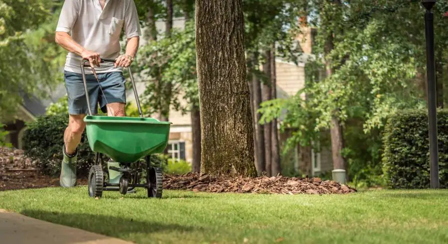 Can You Put Compost In A Spreader? | Yuzu Magazine