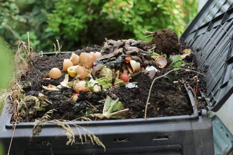 topsoil or compost for grass seed