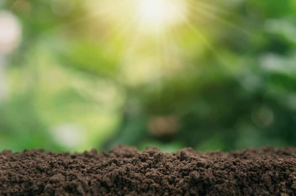 Topsoil or Compost For Grass Seed Which is better? Yuzu Magazine