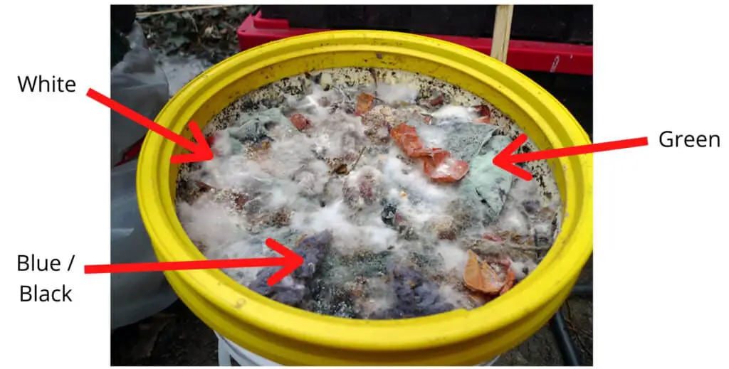 mold bokashi