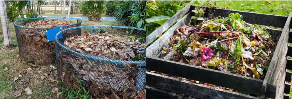 leaf mold and compost