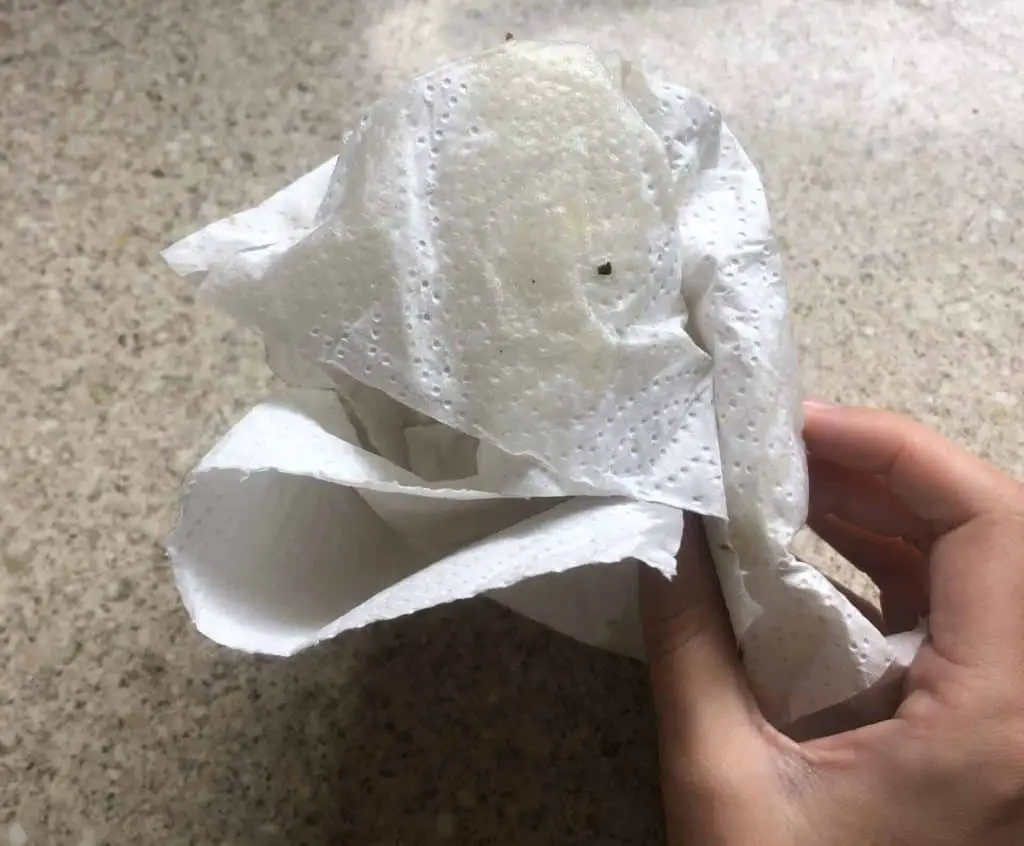 kitchen roll covered in oil