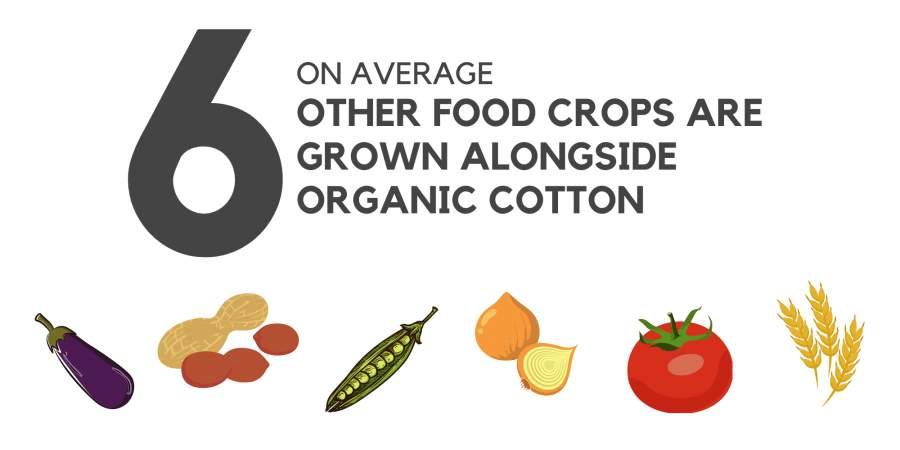 cotton farmers grow an average of 6 other food crops alongside the cotton