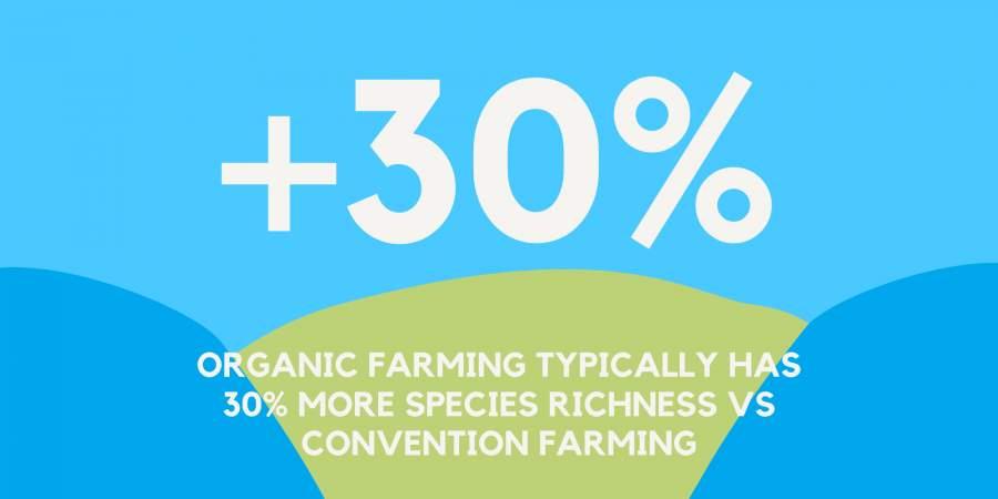 biodiversity in organic farming - 30% more species richness