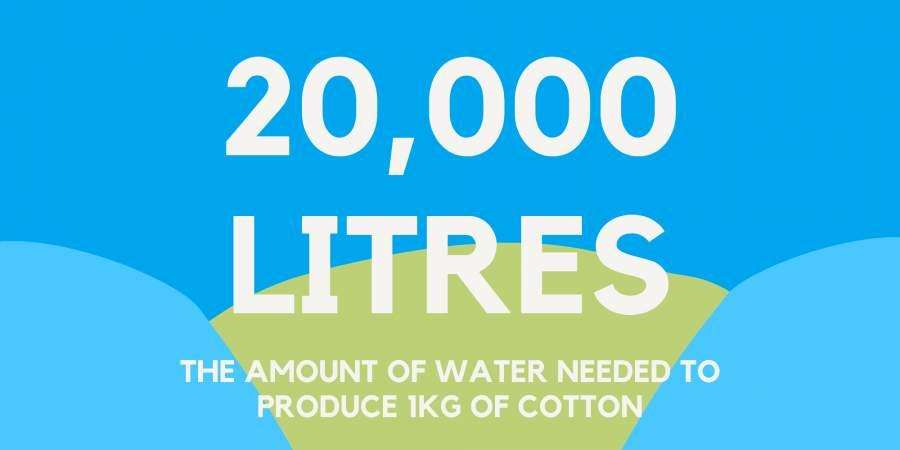 how much water it takes to produce 1kg of cotton (20,000 litres)