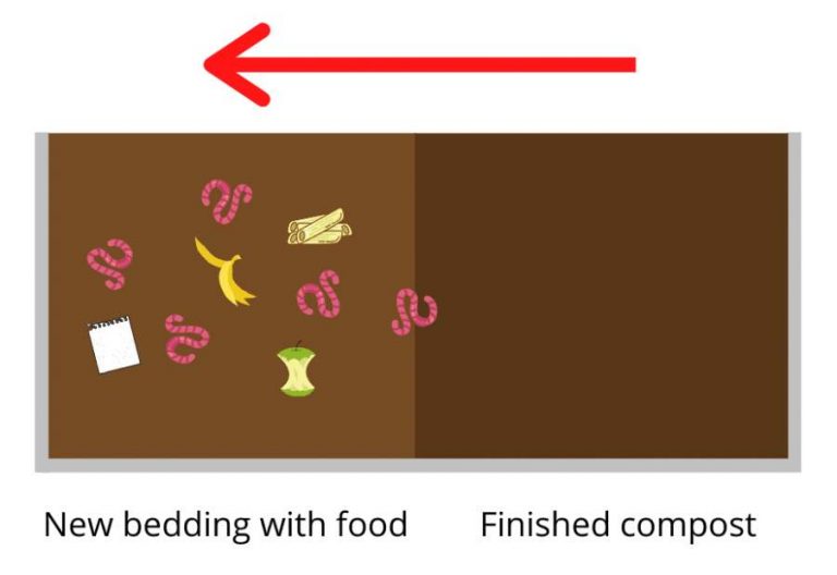 Worms move over to the side of the bin with food in it leaving the other half empty