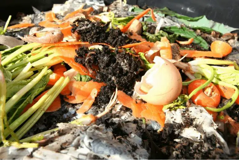 food scraps in a worm bin