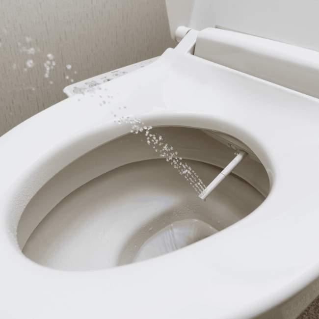 bidet seat