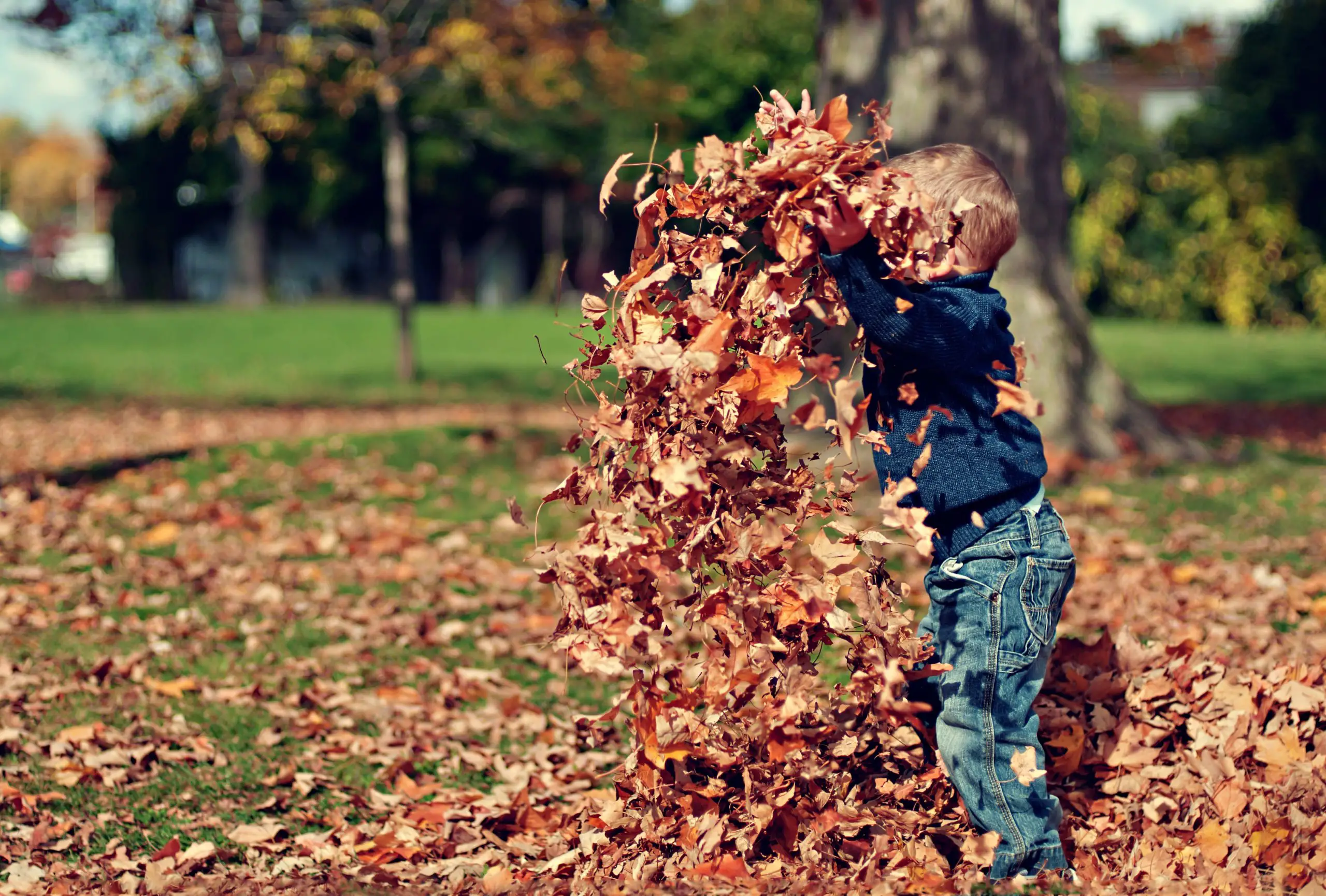 child jumping on leaves
