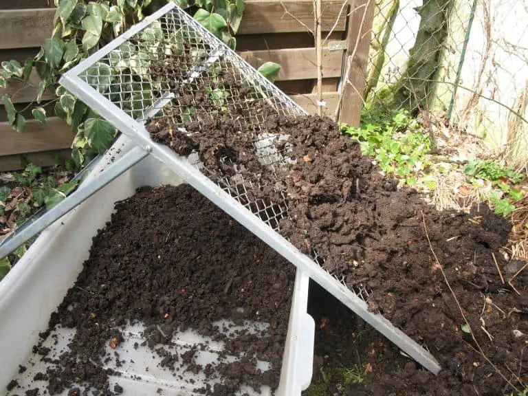 clumpy compost being put through a screener