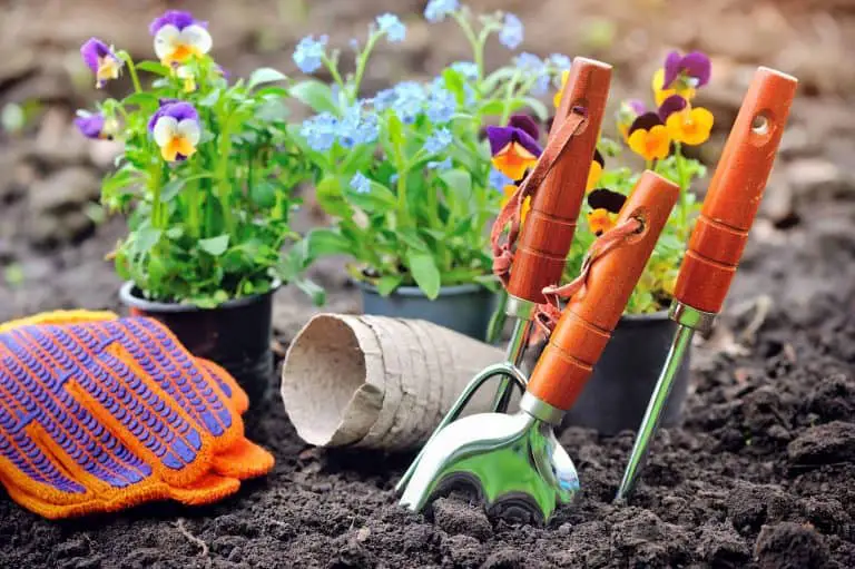 human compost being used