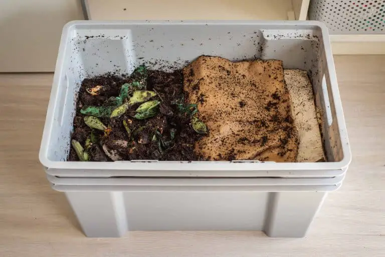 Plastic tub is used as a DIY worm bin