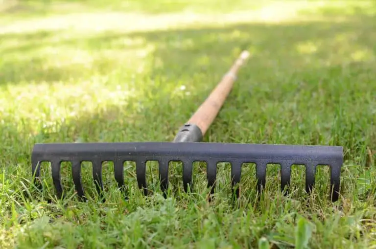 landscape rake lying on grass