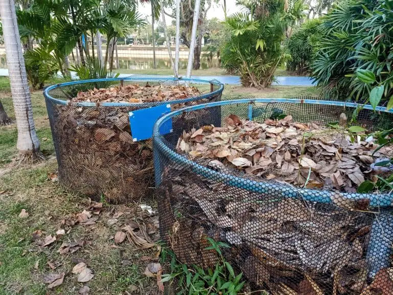 leaf mold being made in wire mesh bins