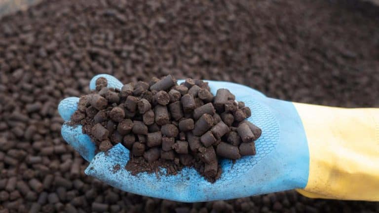 pelletized compost in farmers hand-min