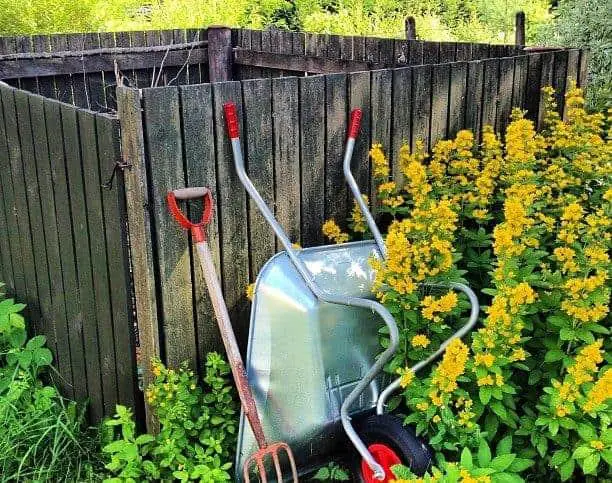 compost pile