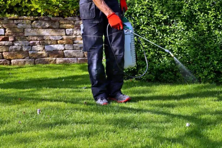 pump sprayer for applying compost tea to a lawn-min