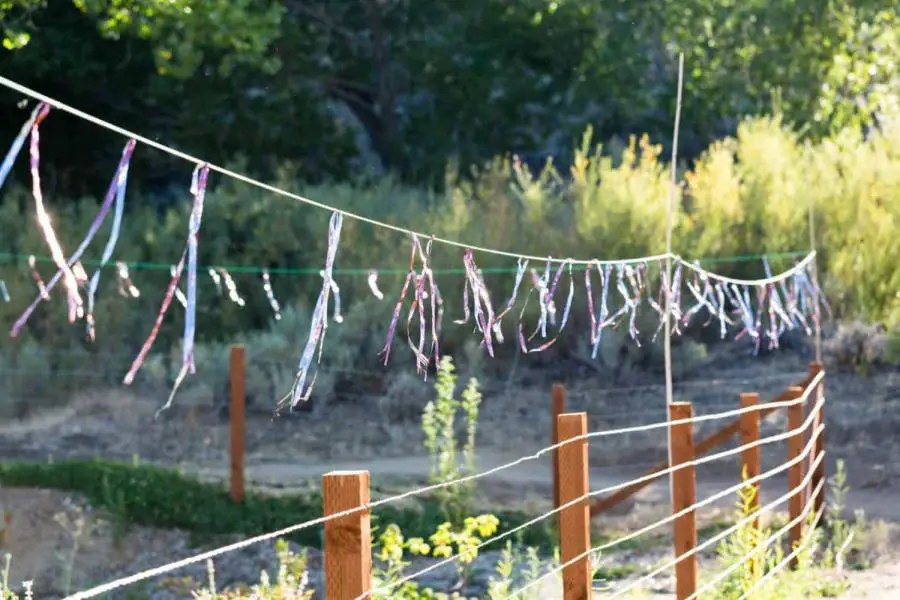 reflective bird tape is hung from a piece of string across a yard