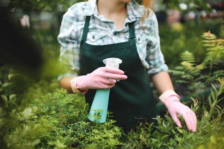 woman spraying compost tea made from a composting toilet