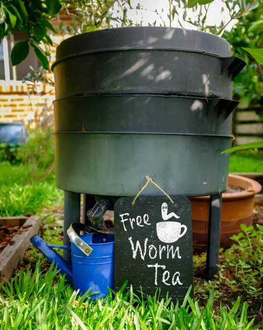 worm compost leachate being advertised as worm tea