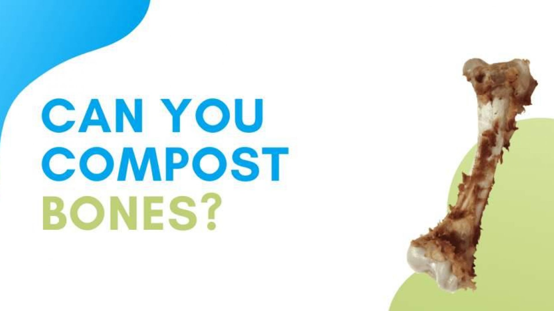 Can You Compost Bones?
