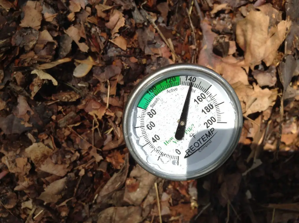 Compost thermometer reading 141 degrees Fahrenheit stuck into a compost pile covered with dry leaves 