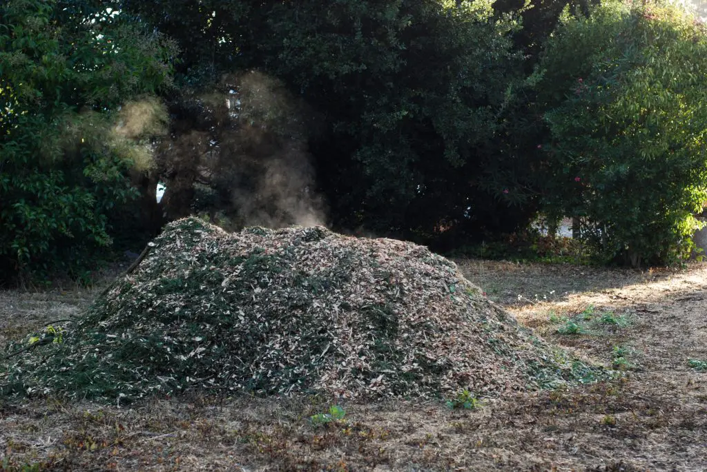 Picture of large pile of compost with steam coming out the top