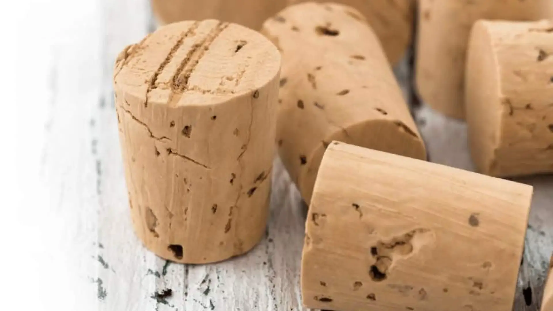 Is Cork Eco Friendly? A detailed look into ‘nature’s most sustainable material’