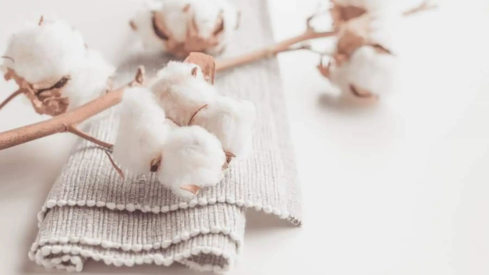 How Sustainable Is Organic Cotton?