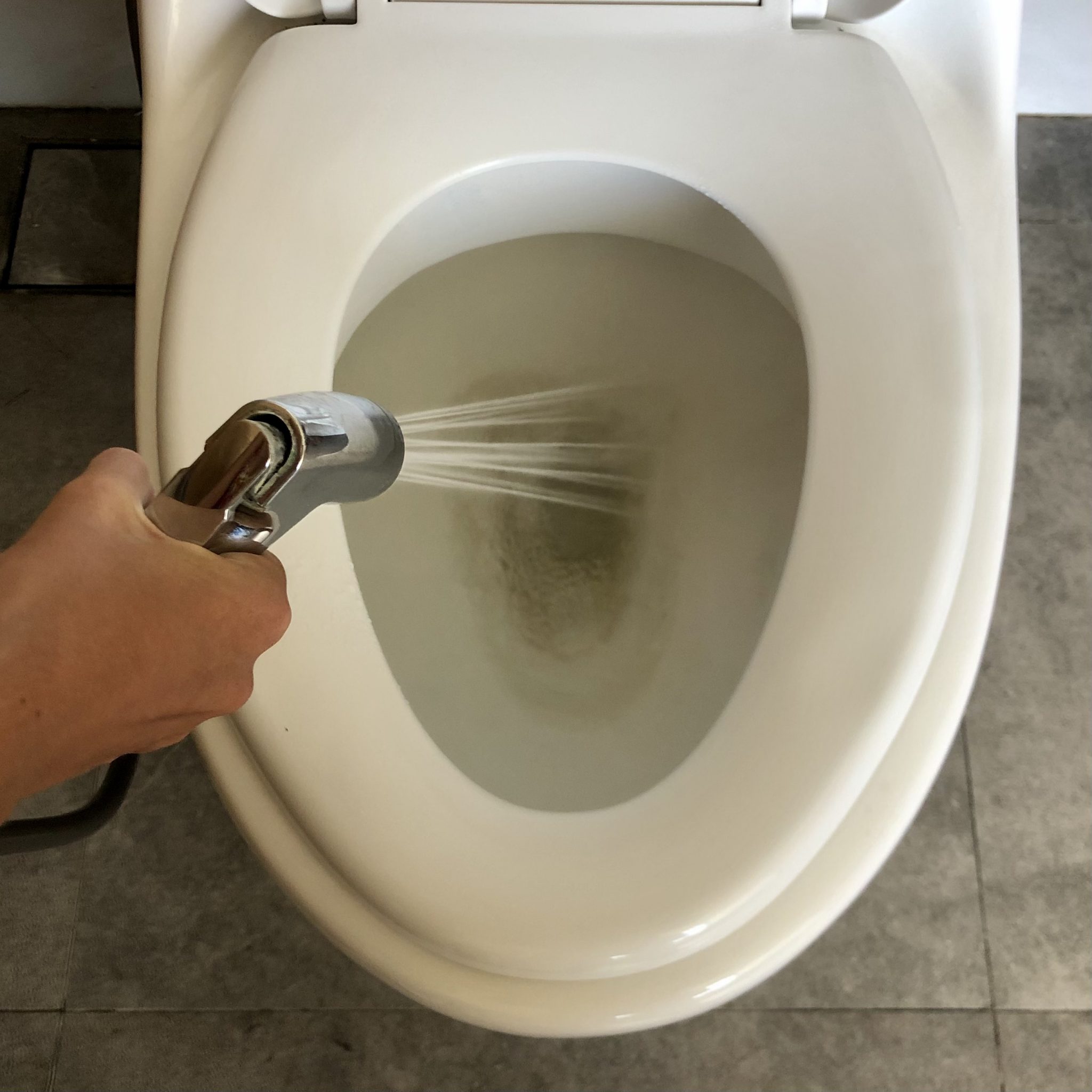 Handheld Bidet VS Bidet Seat How To Choose The Best Option For You