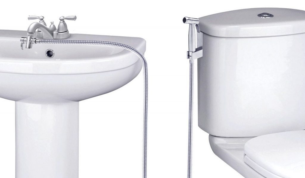 handheld bidet vs bidet seat