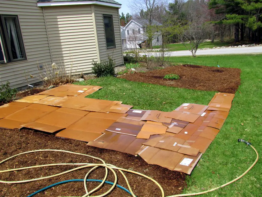 sheet mulching stages