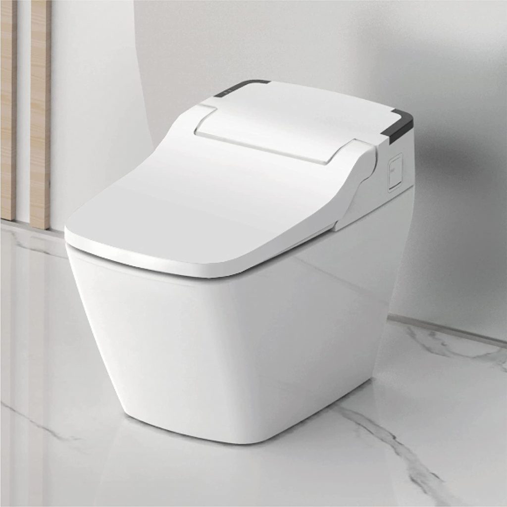 bidet toilet combo