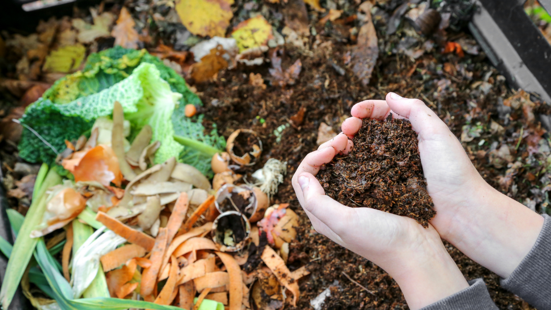 Compost Starters: Everything You Need To Know [Creating Your Own Plus Best 5 You Can Buy]