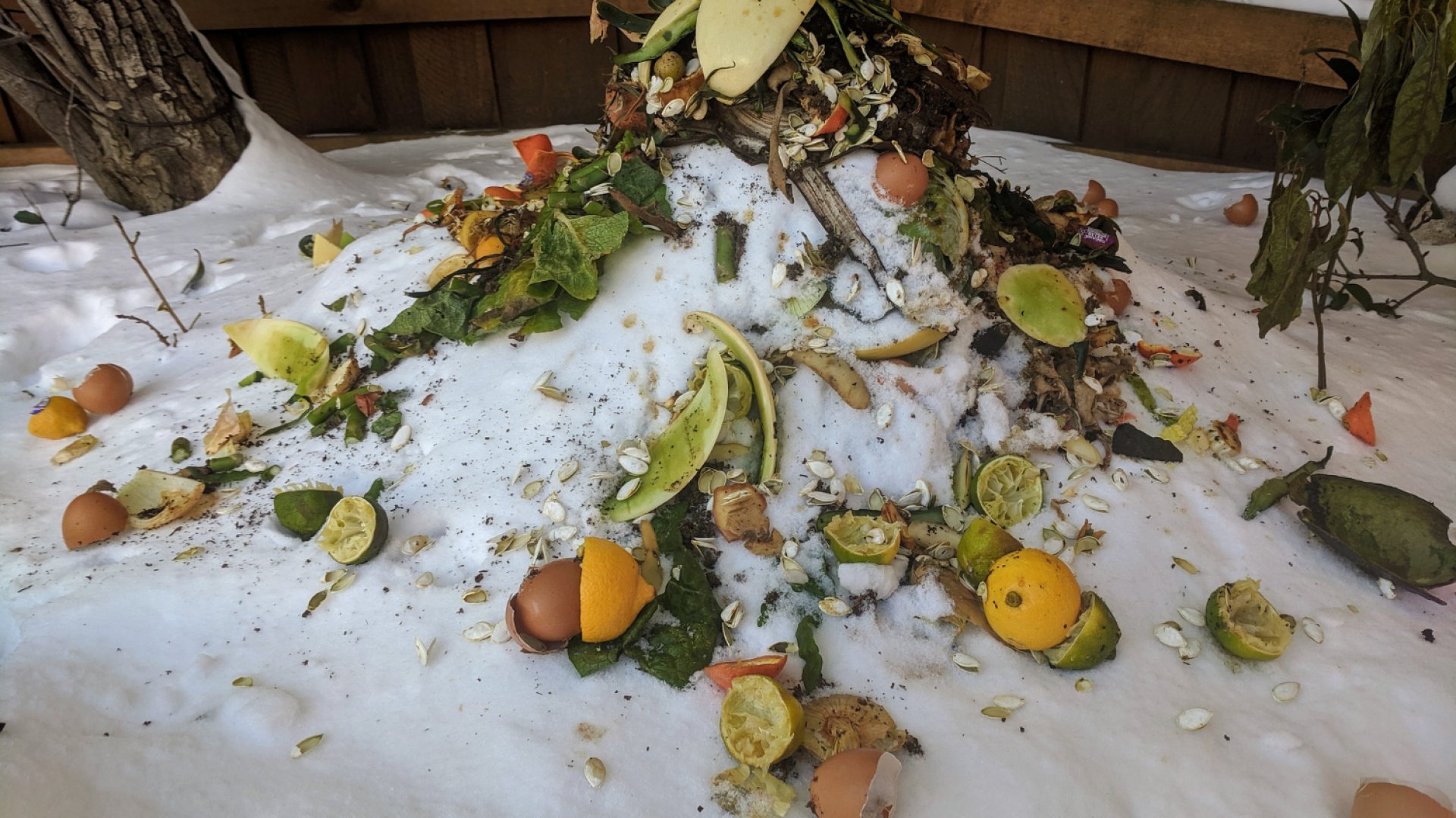 Composting in Winter: The Best How-To Guide