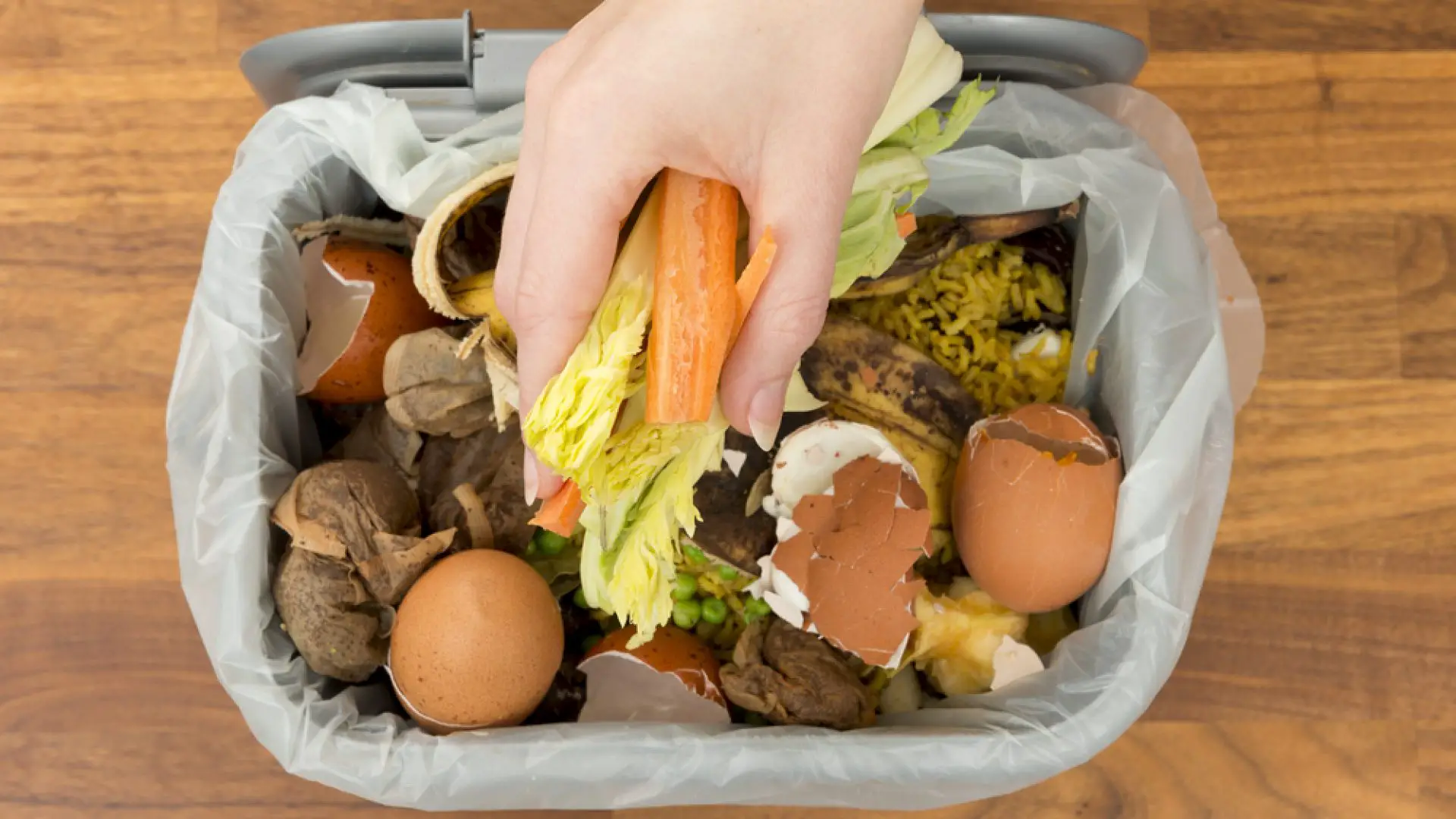 Indoor Composting 101: The Best How-To Guide