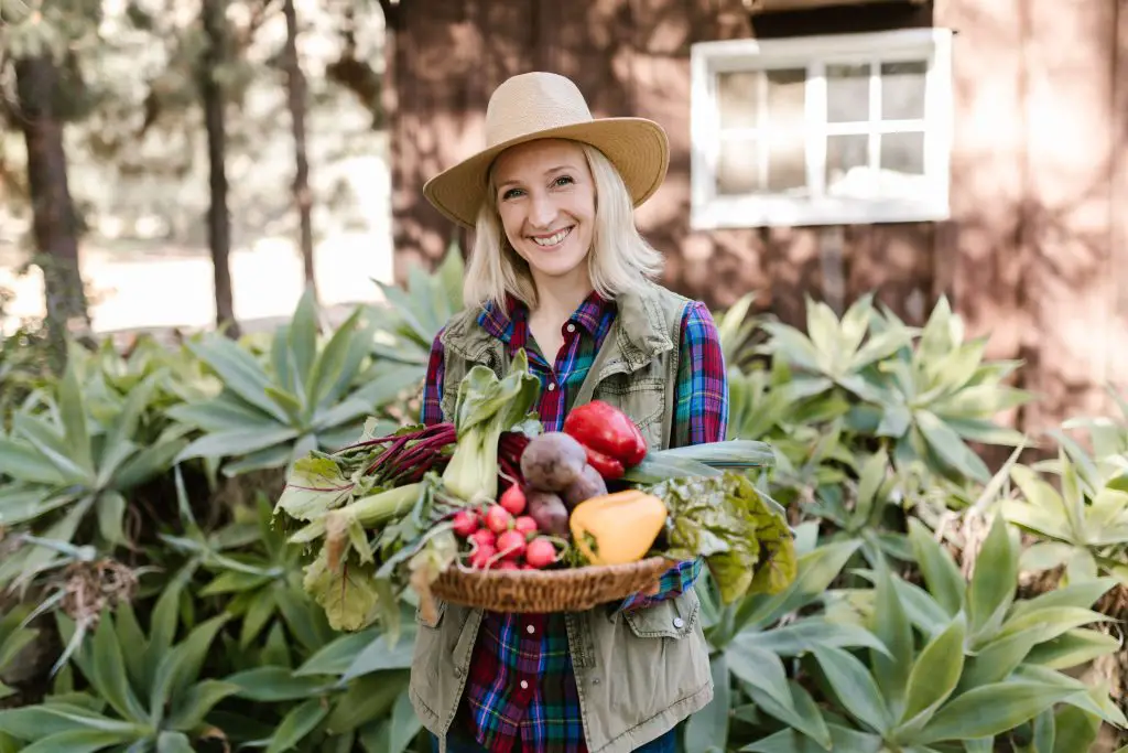 backyard farming