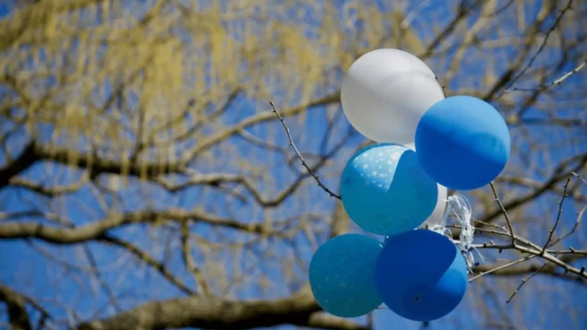 Biodegradable Balloons: Plus 5 Better Eco-Friendly Alternatives