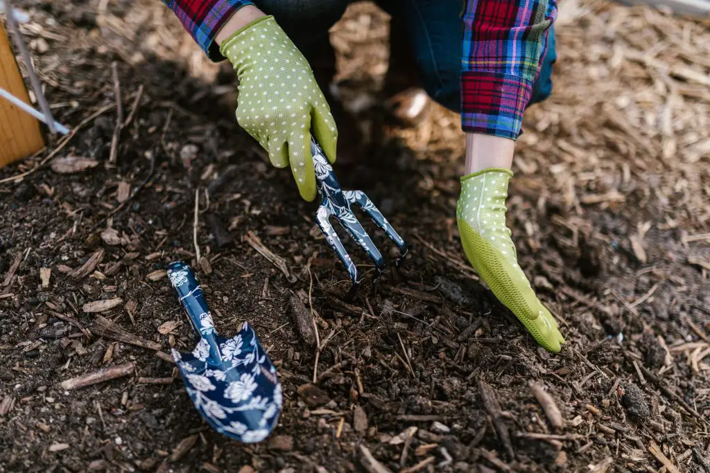 mushroom compost