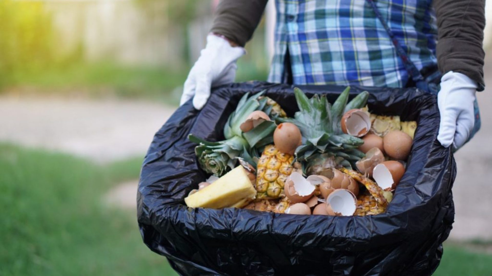 The 10 Best Compost Bags of 2023